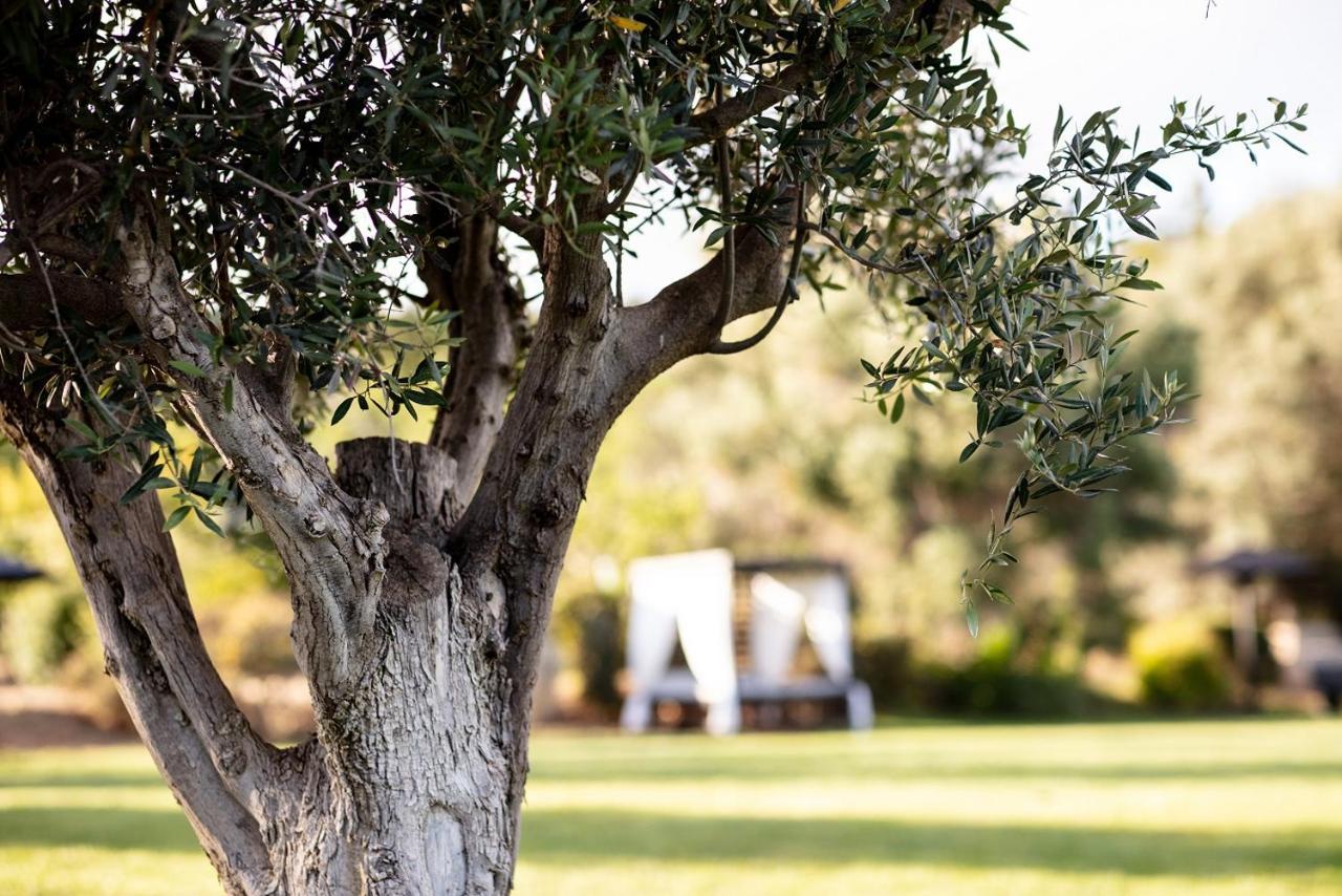 Vila Valverde Design Country Hotel Senhora da Luz 외부 사진